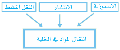 كيف تنتقل المواد عبر الغشاء البلازمي في الخلية؟
